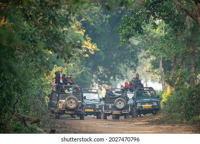 Jim Corbett National Park, Ramnagar, Uttarakhand, India - December 8, 2020 - Tourists And Photographers In Wildlife Safari Vehicles Are Waiting Patiently In Dhikala Forest Of Corbett Tiger Reserve