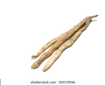 Jinenjo Japanese Wild Yam