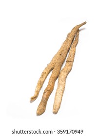 Jinenjo Japanese Wild Yam