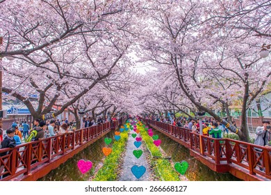 1,189 Jinhae gunhangje festival Images, Stock Photos & Vectors ...