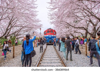 7,340 Cherry blossom festival korea Images, Stock Photos & Vectors ...