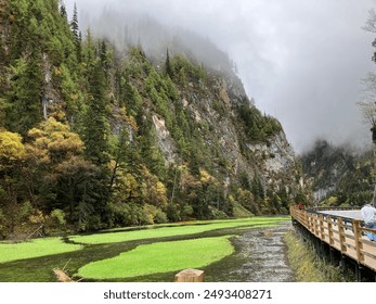 Jiuzhaigou, Sichuan, China - October 11, 2023: A World Natural Heritage site, featuring the picturesque and serene Swan Lake, named for its shape resembling a pure white swan. - Powered by Shutterstock