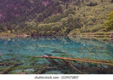 Jiuzhaigou in Sichuan province is a famous tourist base with its natural scenery.