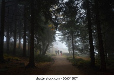 Jizera Mountains
