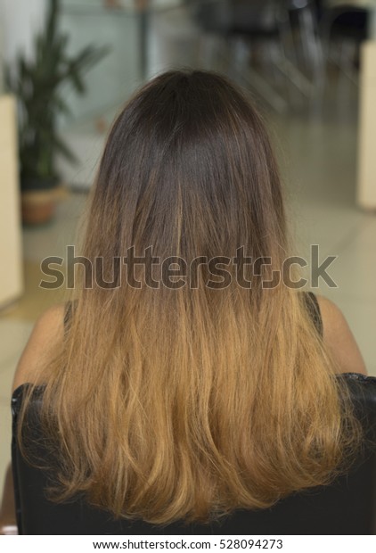 Job Hairdresserthe Technique Staining Ombre Hair Stock Image