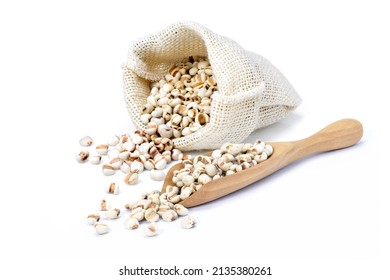 Job's tears (Adlay millet or pearl millet) in sack bag and wooden scoop isolated on white background. - Shutterstock ID 2135380261
