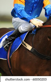 A Jockey In Blue Silks Riding A Horse.