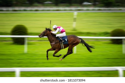 Jockey During Horse Race On His Horse Going Towards Finish Line On The First Place. Traditional European Sport. Shaving Effect.