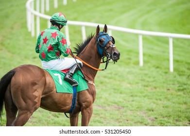 Jockey And Horse Standing On The Track Before A Race