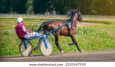 Jockey and horse. Trotting horse race. Race in harness with a sulky or racing bike. Harness racing. Trotting horse race. Sport banner