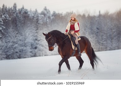 Jockey Woman Rider Rides Brown Horse On Winter Forest In Snow. Concept Walk In Farm.