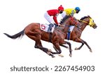 Jockeys on racing horses. Horse sport. Hippodrome. Horses racing. Jockeys. Equestrians. Derby. Isolated on white background