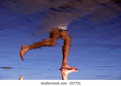 Jogger reflected