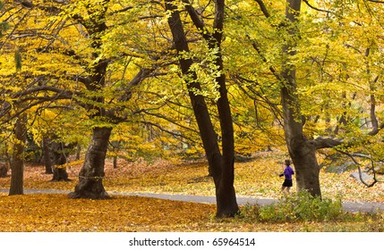 Jogging In Central Park