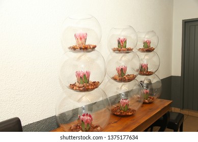 Johannesburg Gauteng South Africa 02072011 Decor With Protea Flower Formal Setting Gala Dinner Party Year End Wedding In Glass Round Jars