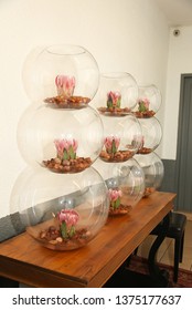 Johannesburg Gauteng South Africa 02072011 Decor With Protea Flower Formal Setting Gala Dinner Party Year End Wedding In Glass Round Jars