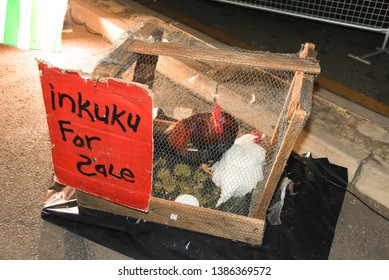 Live Chicken For Sale Images Stock Photos Vectors Shutterstock