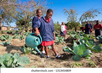 Johannesburg, South Africa - April 29 2009: School Children Learning About Agriculture And Farming