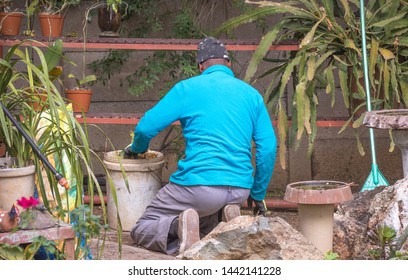 Johannesburg, South Africa - July 2, 2019: An Unidentified Black Male Migrant Worker Does Manual Labor In A Domestic Garden In The City Image In Landscape Format