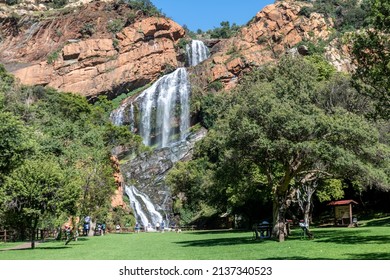 1,153 Johannesburg forest Images, Stock Photos & Vectors | Shutterstock