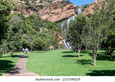 1,153 Johannesburg forest Images, Stock Photos & Vectors | Shutterstock