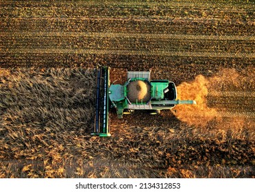 John Deere combine harvester on spring wheat harvesting. Wheat and corn markets react in crisis world’s breadbasket. Winter barley yields. Wheat, maize, soybeans. Russia, Smolensk, Sept 23, 2021.
