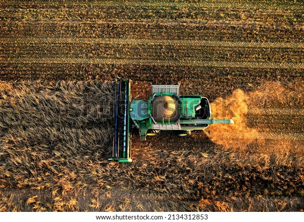 John Deere combine harvester on spring wheat\
harvesting. Wheat and corn markets react in crisis world’s\
breadbasket. Winter barley yields. Wheat, maize, soybeans. Russia,\
Smolensk, Sept 23, 2021.\
