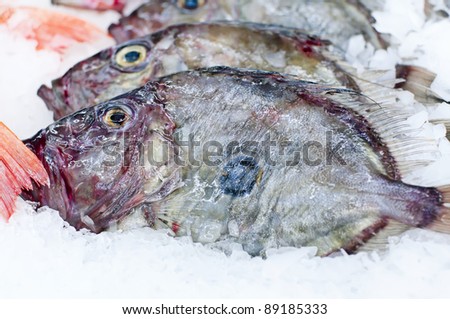 Similar – Image, Stock Photo Raw John Dory fish in metal tray