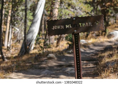 John Muir Trail Sign In The Woods