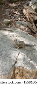 John Muir Trail. Yosemite Valley 