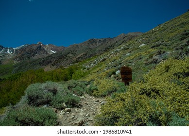 John Muir Wilderness, Inyo National 