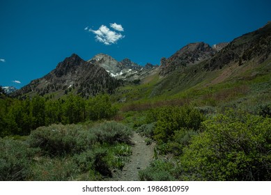 John Muir Wilderness, Inyo National 