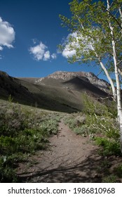 John Muir Wilderness, Inyo National 