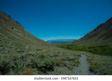 John Muir Wilderness, Inyo National 