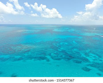 John Pennekamp Coral Reef State Park