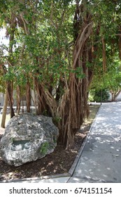 John Pennekamp Coral Reef State Park