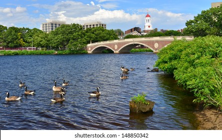 John W. Weeks Bridge over Charles River and clock tower in Harvard University campus in Boston, MA, USA