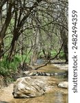 Johnson Creek runs over a small concrete low-water bridge at the entrance of Paris Springs Access and flows to meet Turnback Creek a short distance downstream.