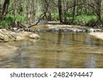 Johnson Creek runs over a small concrete low-water bridge at the entrance of Paris Springs Access and flows to meet Turnback Creek a short distance downstream.