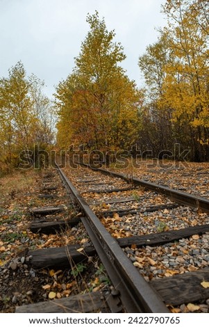 A jointed railway that leads into a forest of autumn deciduous trees. The metal ballastless track is covered in orange, yellow, and brown leaves. The track is abandoned and in need of repair. 
