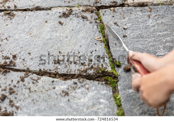 Sidewalk Crack Weeder