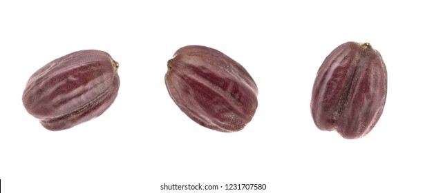 Jojoba Seed Or Nut (Simmondsia Chinensis). Isolated On White Background.