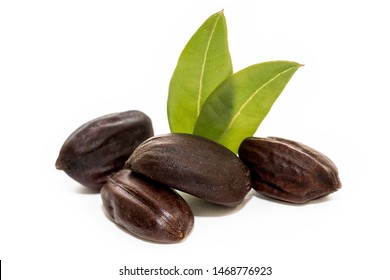 Jojoba Seeds Isolated On White Background