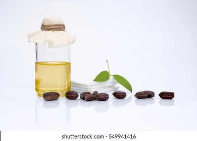 Jojoba (Simmondsia chinensis) leaves, seeds and oil on withe background