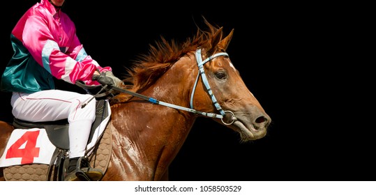 Jokey on a thoroughbred horse runs isolated on black background