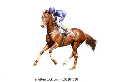 Jokey on a thoroughbred horse runs isolated on white background - Shutterstock ID 1082840384