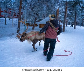 JOKKMOKK / Sweden-February 09, 2019: Sami Reindeer Herder On The Market