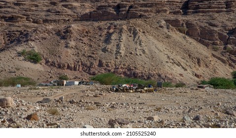 Jordan Dead Sea Spectacular Landscape With Very Salty Water