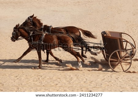 Similar – Image, Stock Photo two horses in the pasture on a foggy autumn morning with diffused sunlight