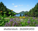 Jordan Pond and wildflowers in Acadia National Park, on Mount Desert Island, Maine
